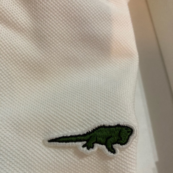 Rare lacoste Iguana save our species - Picture 8 of 10